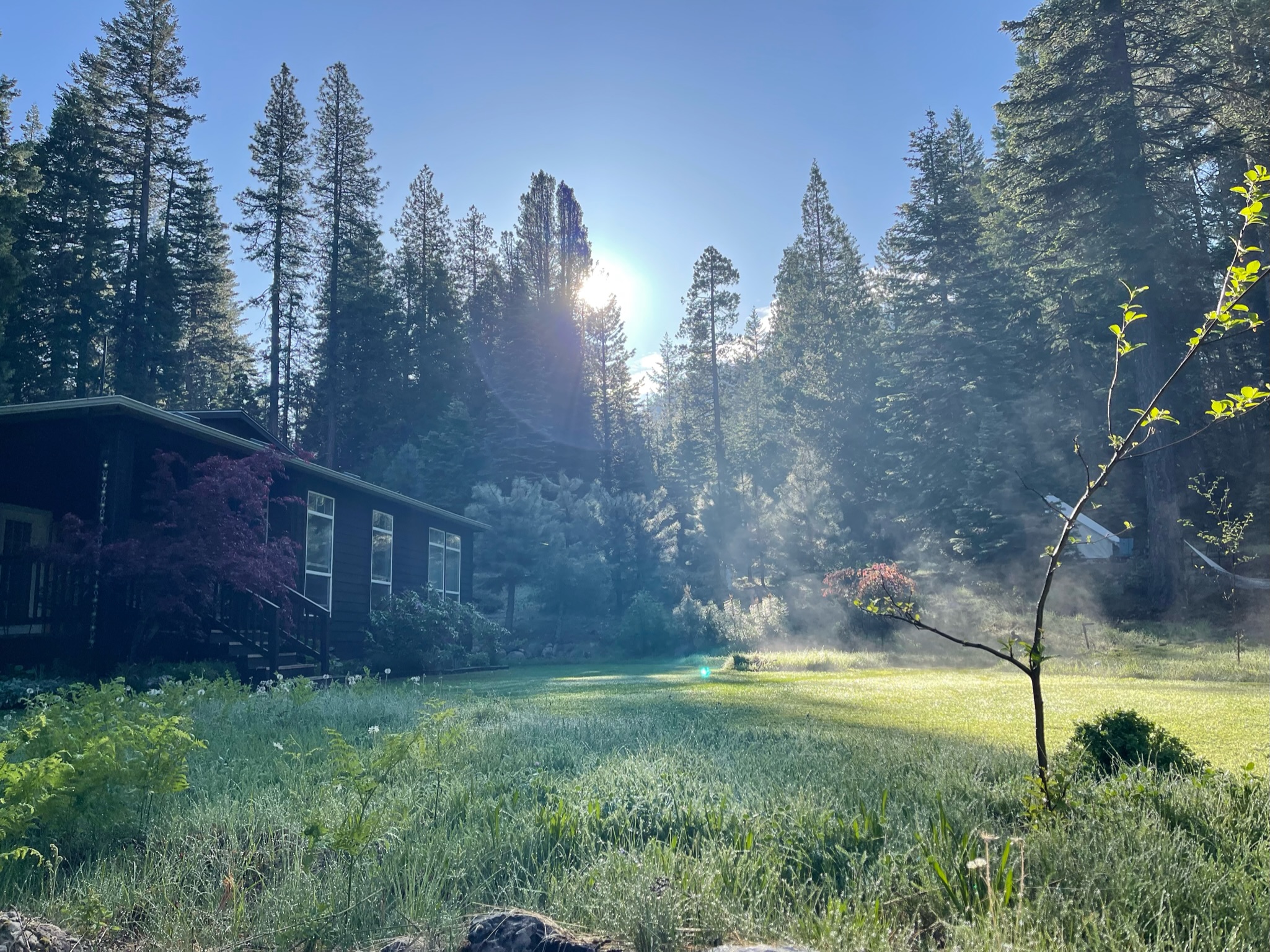 Alojamiento en Mount Shasta